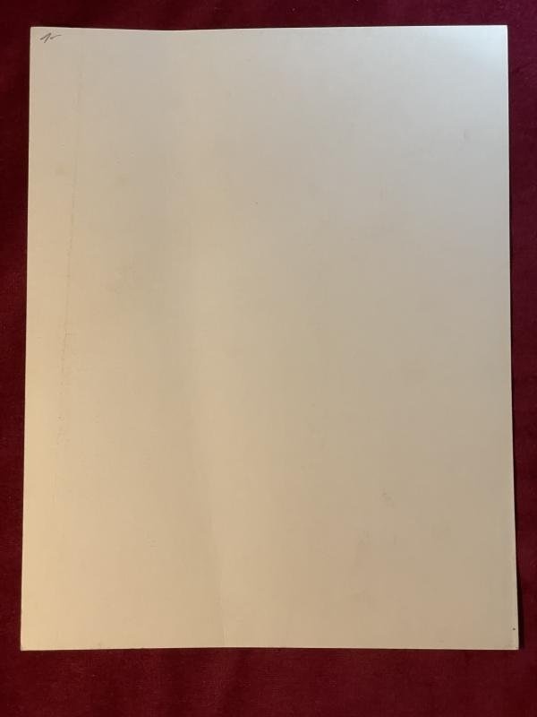 3rd Reich Portrait Hans von Tschammer und Osten — image 5