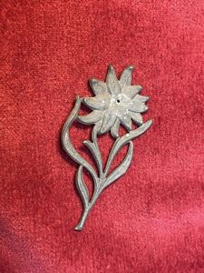 3rd Reich SA Gruppe-Hochland Edelweiss