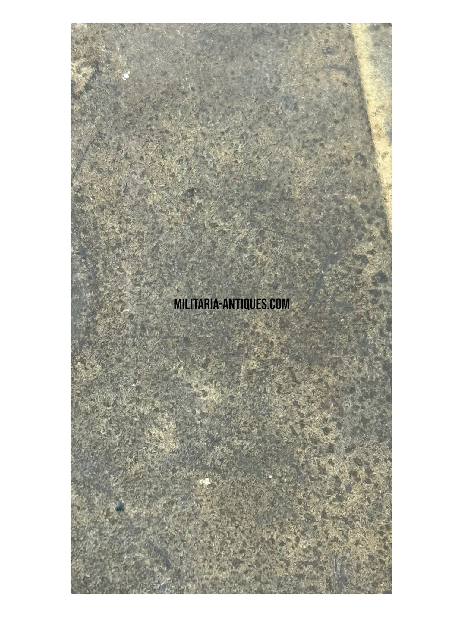 RG34 Cleaning Kit — image 3