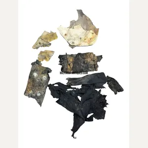 Fallschirmjäger relics