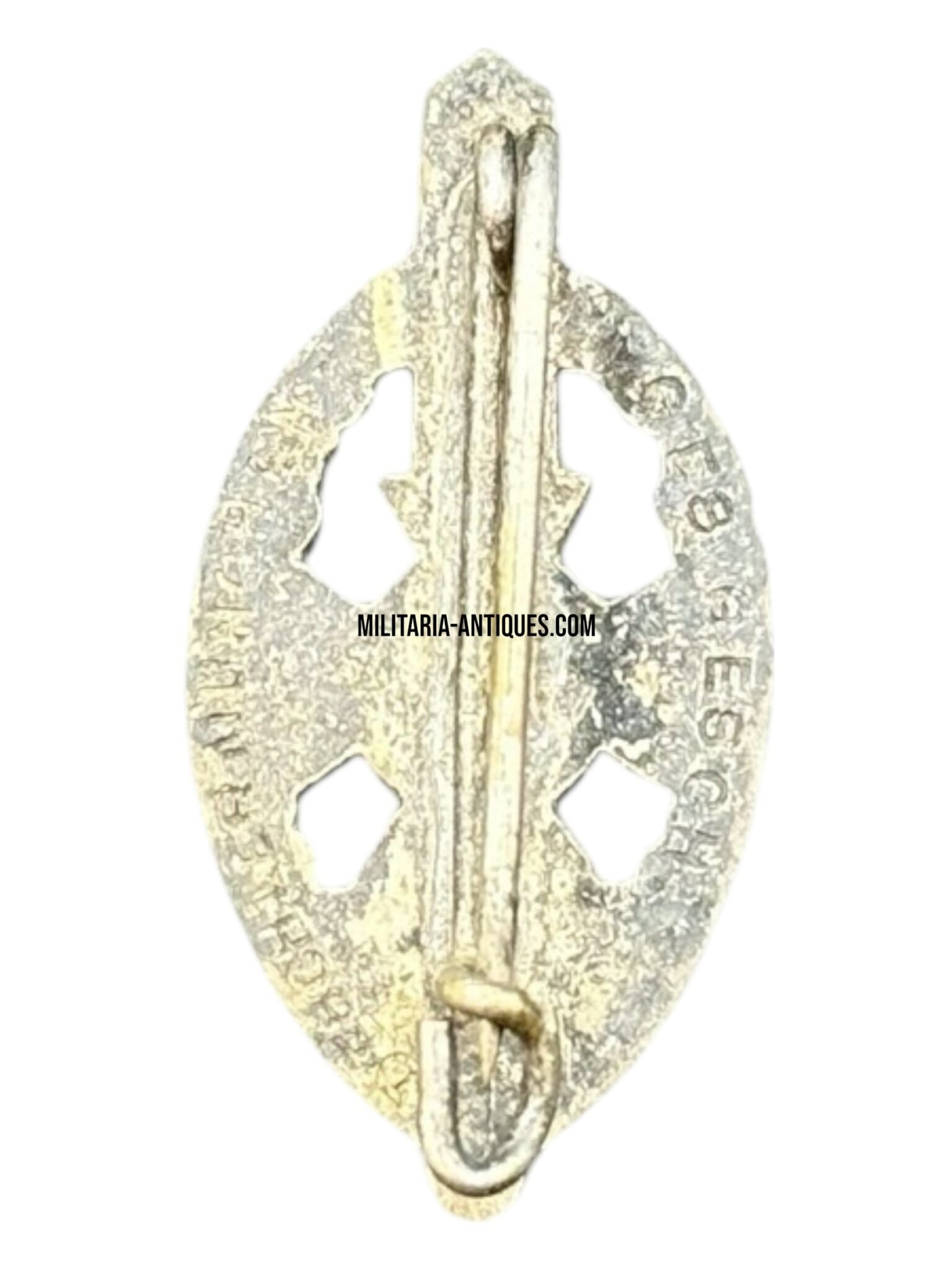 NSKOV Member Pin — image 2