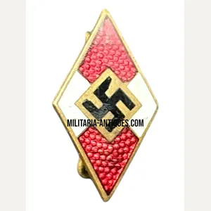 Hitler-Jugend member pin