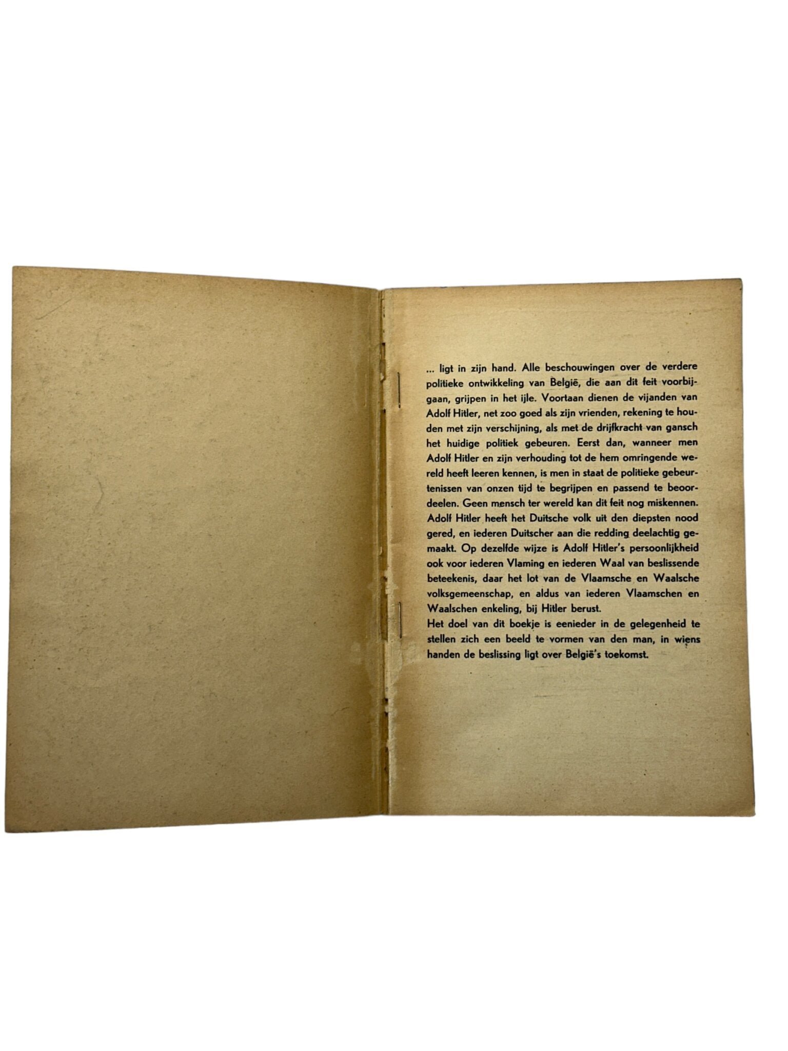 Flemish Collaboration — image 3