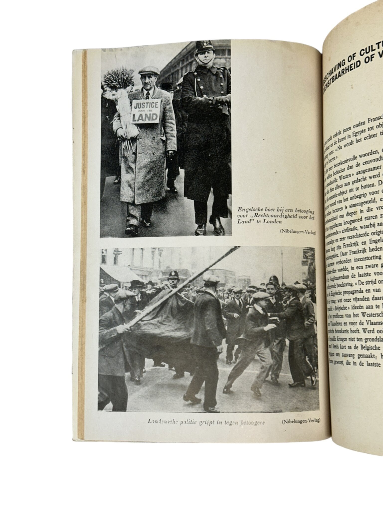 Flemish collaboration — image 2