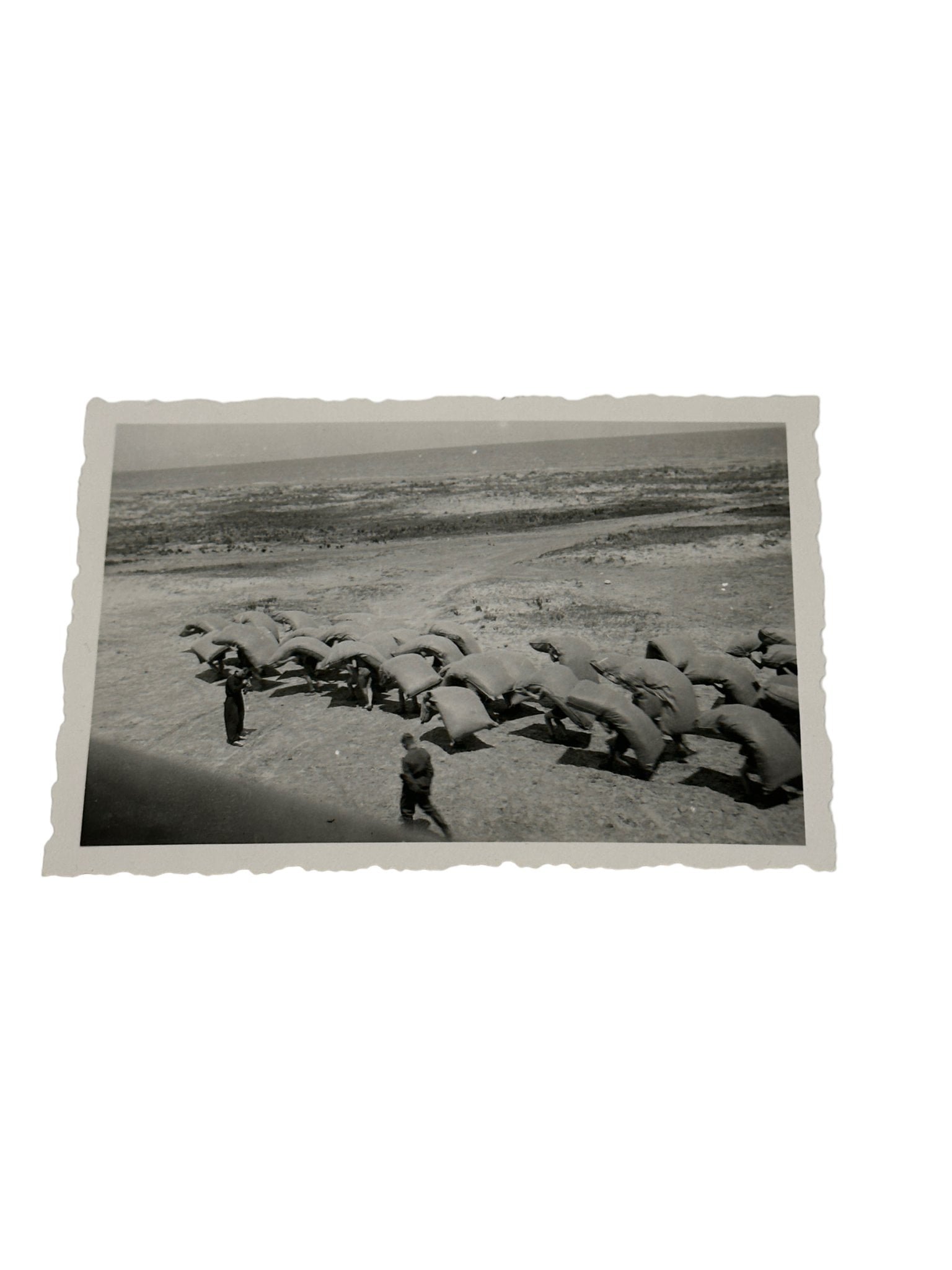 Luftwaffe grouping of 21 photo's — image 22