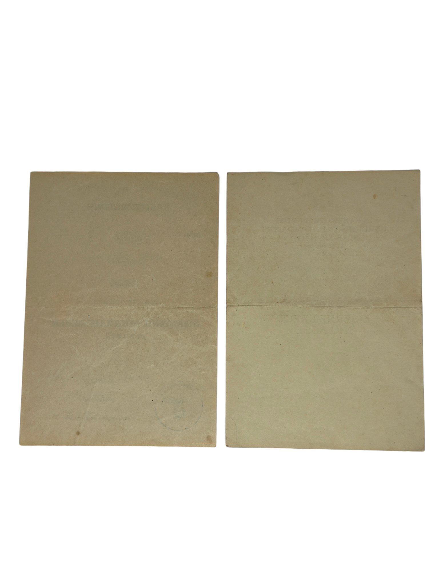 Citation group 290 Infantry Division — image 2