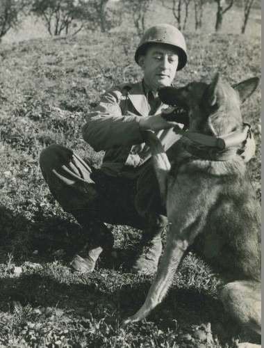 US Messenger Dog Collar 1944 — image 6