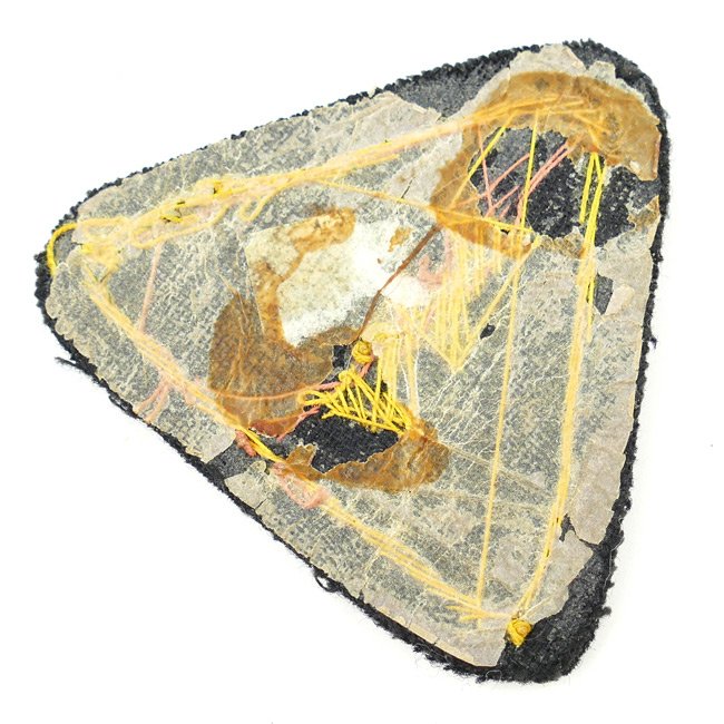 NSB - WA Arm Badge — image 5