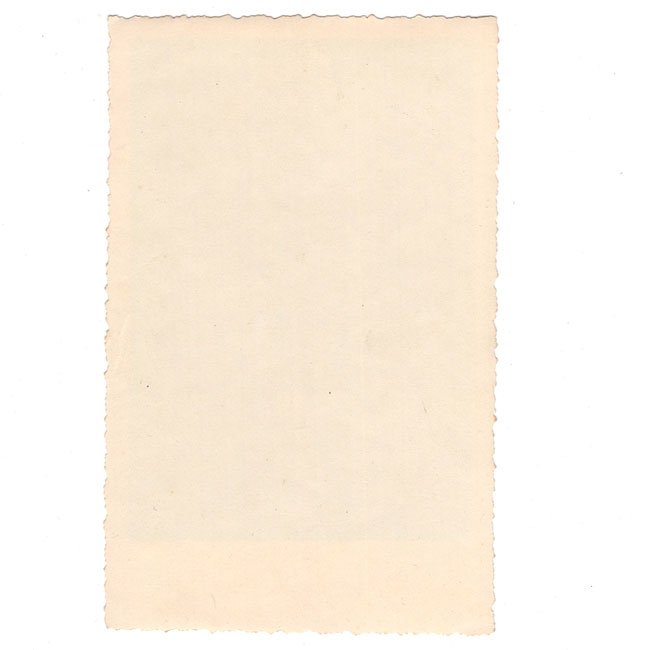 Luftwaffe Fallschirmjäger Portrait Photo — image 4