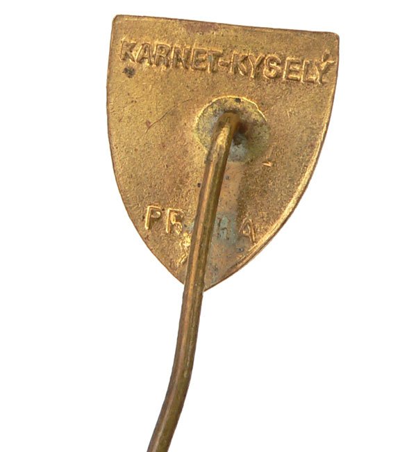 Czech Fascist 'NS' Membership Badge — image 3