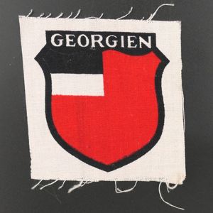 Georgien Volunteer Sleeve Shield
