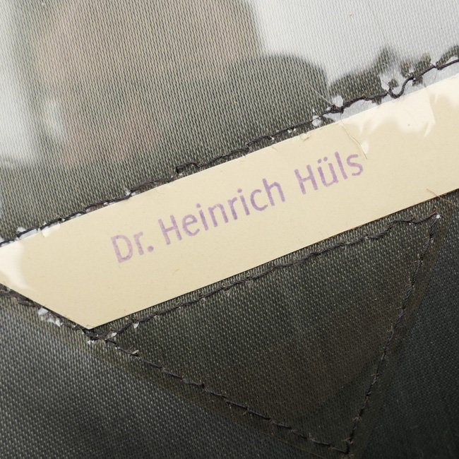WH (Heer) Medical Officer's Visor Cap to KC Recipient 'Dr.Heinrich Hüls' — image 15