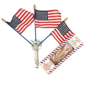 US 48 Star Flag Set