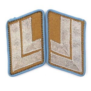 NSDAP 'Hauptstellenleiter der Ortsgruppe' Collar Tabs