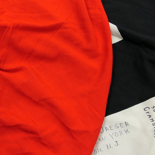 Captured US Vet Signed German Swastika Flag — image 9