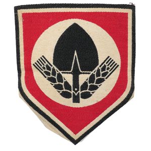 RAD Sport Shirt Insignia