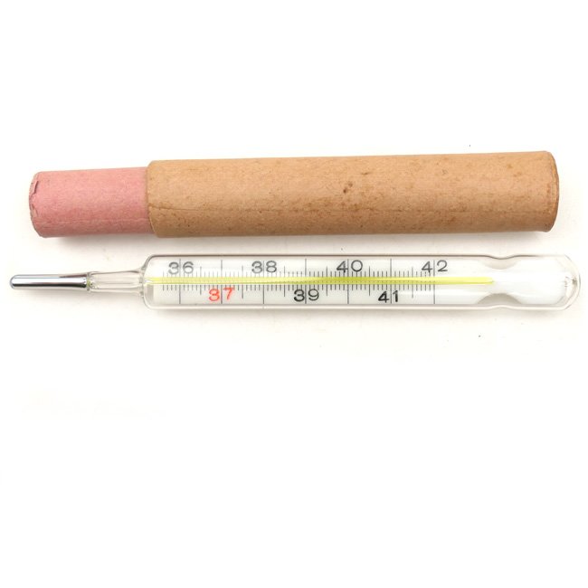 Wehrmacht Medical Thermometer — image 3