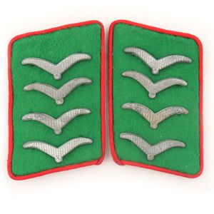 Pair of Luftwaffe Field Division Collar-tabs