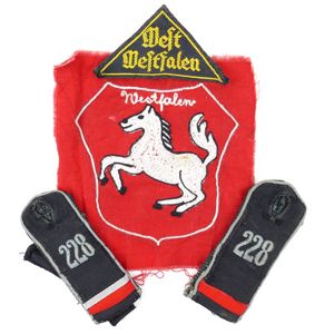 Flieger-HJ 'Bann 228' Insignia Grouping