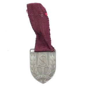 Miniature NAD Sports Medal