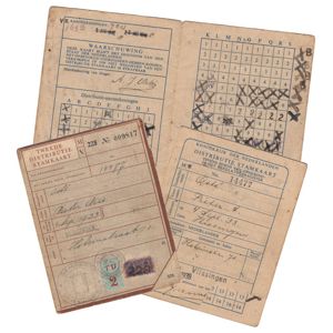 Set of 3 Dutch 'Distributie Stamkaarten'