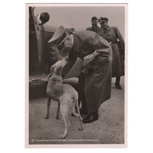 'Adolf Hitler with Dog' Postcard