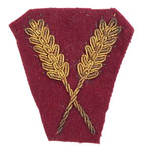 Dutch NAD Collar Tab