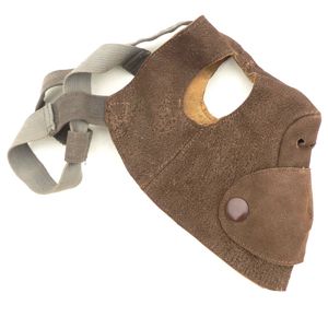 Luftwaffe Face Mask