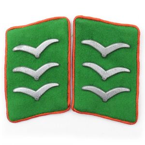 Pair of Luftwaffe Field Division Collar-tabs