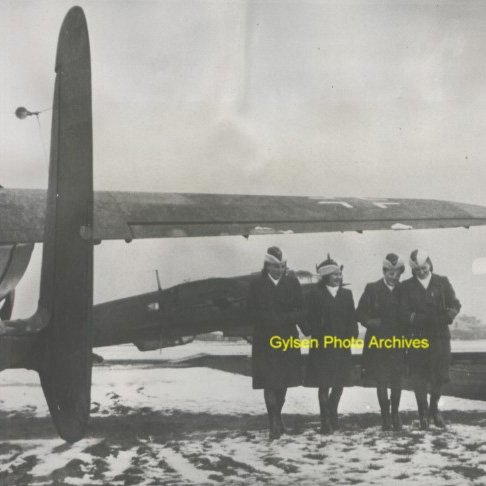 Luftwaffe Female Auxiliaries Winter Fur Overseas Cap — image 9
