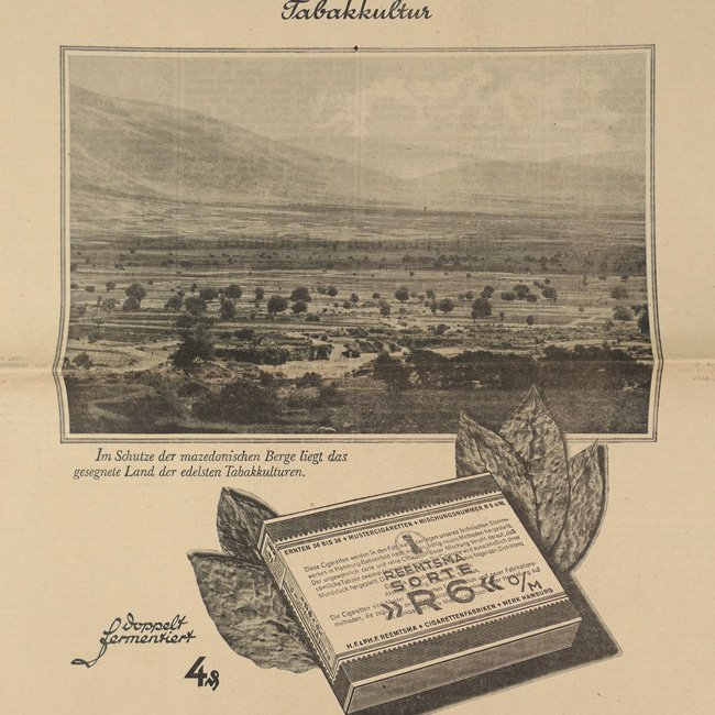 'Das Schwarze Korps' Newspaper 15 August 1940 — image 6