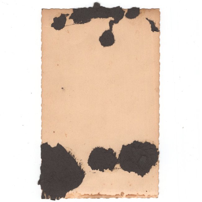 Luftwaffe 'Fallschirmjäger' Normandy Portrait Photograph — image 2