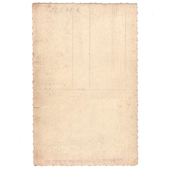 Luftwaffe 'Fallschirmjäger' Portrait Photograph — image 2