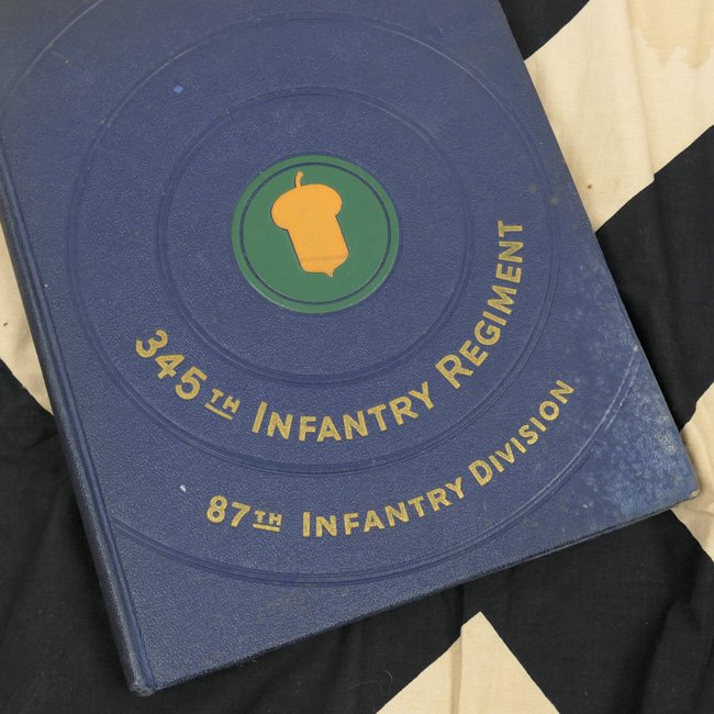 US Veteran Bringback Swastika Flag and Insignia Grouping — image 5