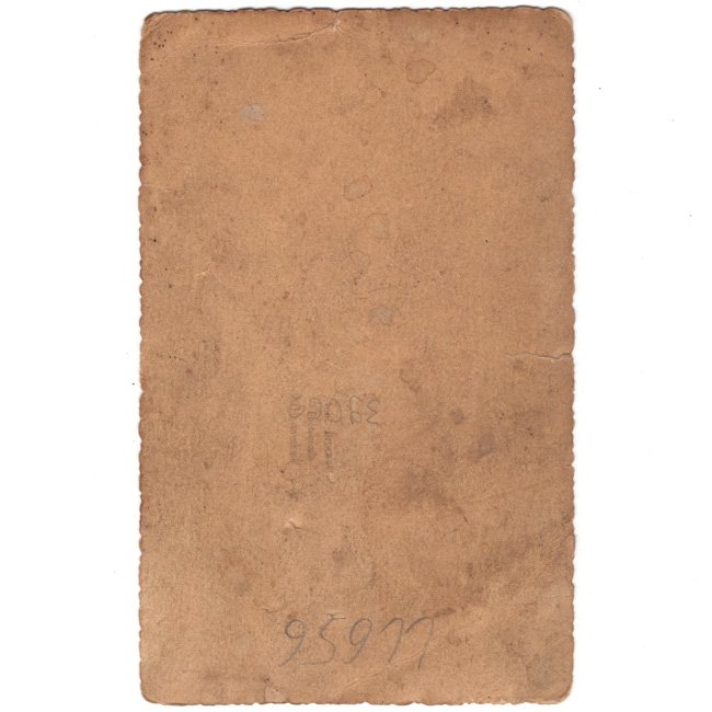 RAD Portrait Photo — image 2