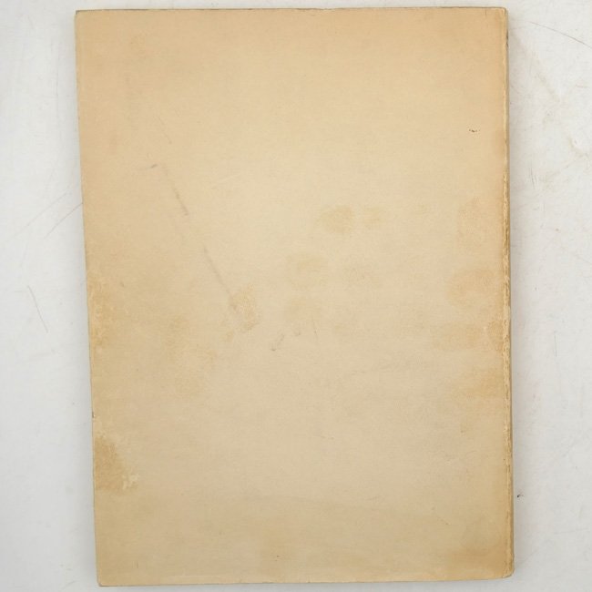 Hoffmann Photo-Book: 'Hitler wie ihn keiner kennt' — image 8