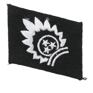 Waffen-SS Latvian Volunteer's Collar Tab