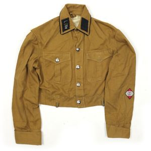 NSKK Brown Shirt