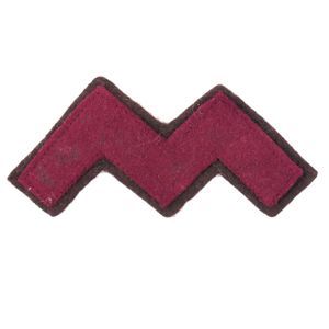Japanese veterinarian Branch of Service Insignia