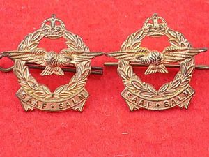 WW11 - Pair of Collar Dogs - South African Air …