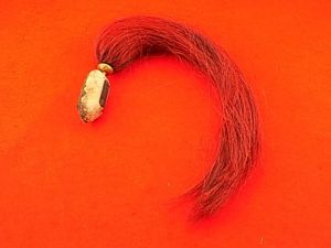 Red Helmet Plume from a Polish Chapska