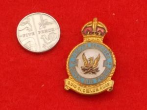 Pin Badge - RAF 56 Fighter Squadron