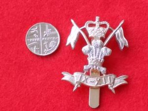 Staybrite Cap Badge - 9th/12th Lancers