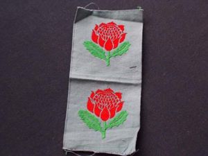 Cloth - Pair Australian Patches