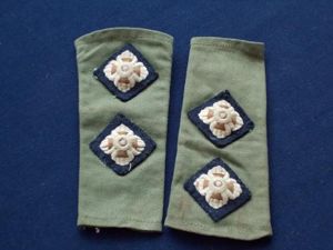 Pair Cloth slip on Shoulder titles - Lieutenant