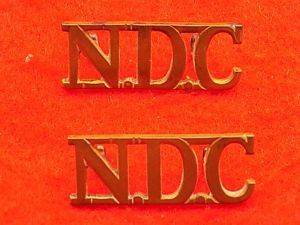 Pair Shoulder Titles - National Defence Corps