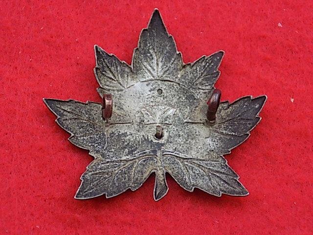 Rare Canadian Cap Badge - V111 Recce Regiment — image 2