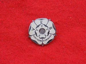 WW11 Pin Badge - V.E.S. Northern Command