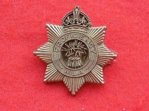 WW11 Plastic Badge - Womens Land Army Proficiency