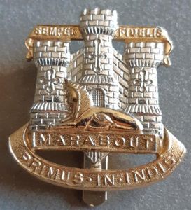 BRITISH - The Devonshire & Dorset Regiment Anodised Hat Badge …